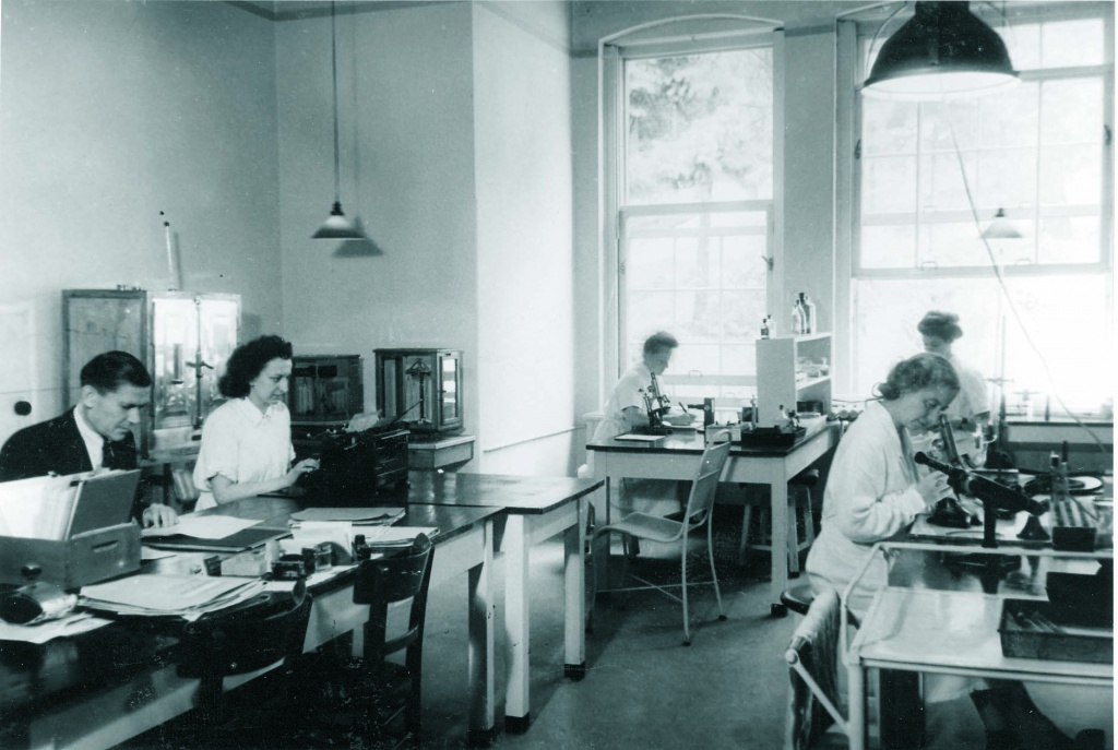 Серологическая лаборатория в 40-е годы